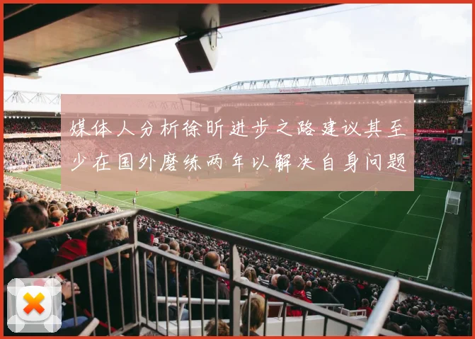 媒体人分析徐昕进步之路建议其至少在国外磨练两年以解决自身问题